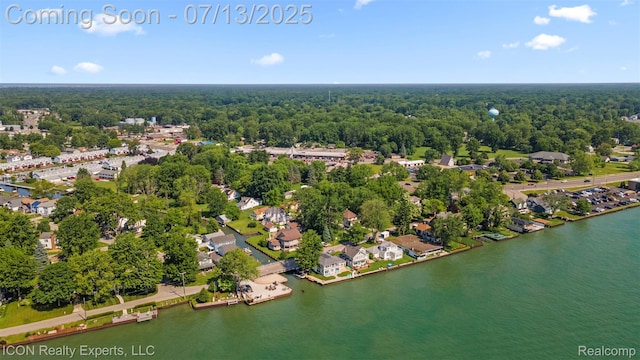 106 St Clair River Dr, Algonac, MI 48001 - drone / aerial view of a forest and a nearby body of water