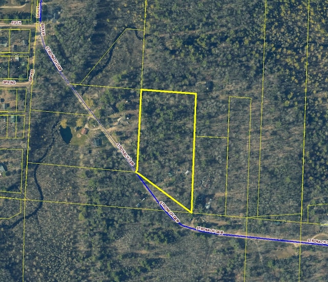 17644 Stronach Dam Rd, Wellston, MI 49689 - aerial map of property and surrounding area with property boundaries highlighted