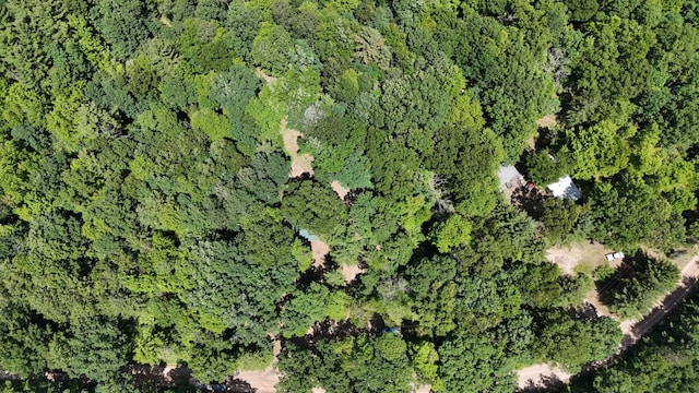 17644 Stronach Dam Rd, Wellston, MI 49689 - view of property location with a forest