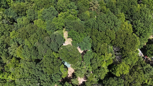 17644 Stronach Dam Rd, Wellston, MI 49689 - aerial view of property's location featuring a forest