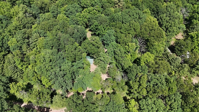 17644 Stronach Dam Rd, Wellston, MI 49689 - aerial overview of property's location featuring a heavily wooded area