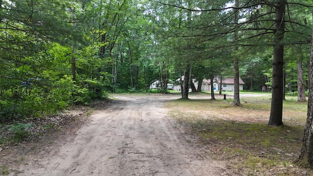 17644 Stronach Dam Rd, Wellston, MI 49689 - view of dirt / gravel driveway featuring a wooded view