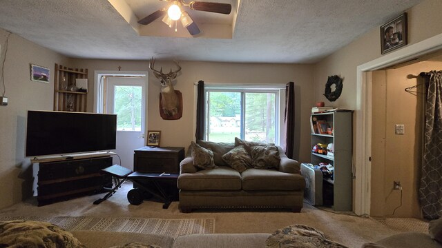 17644 Stronach Dam Rd, Wellston, MI 49689 - photo 16