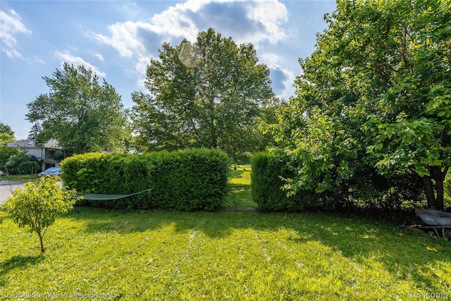 122 Linden Ct, Ypsilanti, MI 48197 - view of grassy yard
