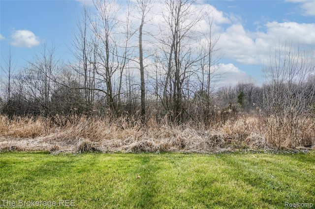 11247 Irish Rd, Otisville, MI 48463 - view of green lawn