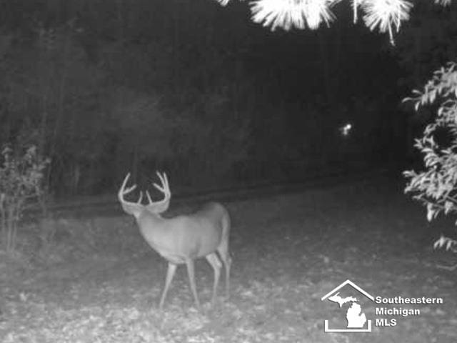 621 Baldwin Rd, Monroe, MI 48162 - photo 43