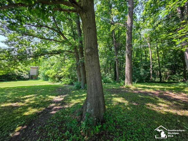 621 Baldwin Rd, Monroe, MI 48162 - photo 52