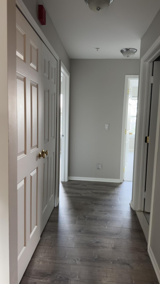 41664 Tera Ln, Novi, MI 48375 - hallway with dark wood-type flooring and baseboards