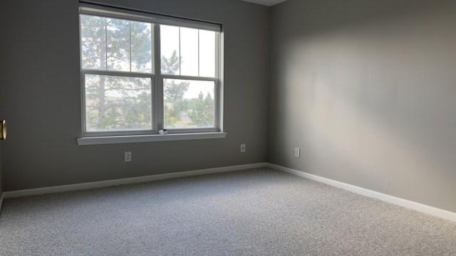 41664 Tera Ln, Novi, MI 48375 - carpeted empty room with baseboards