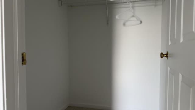 41664 Tera Ln, Novi, MI 48375 - view of closet