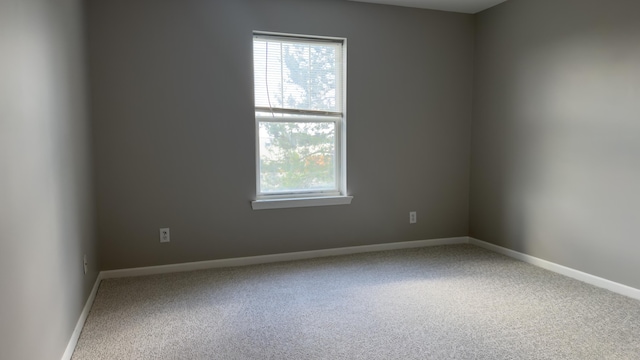 41664 Tera Ln, Novi, MI 48375 - carpeted empty room featuring baseboards