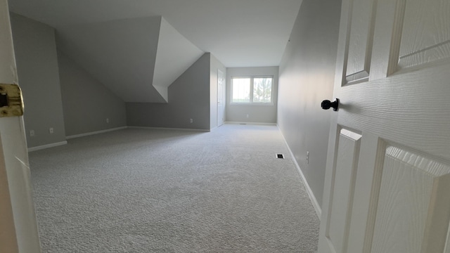 41664 Tera Ln, Novi, MI 48375 - bonus room featuring carpet flooring and lofted ceiling