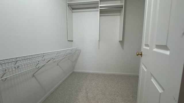 41664 Tera Ln, Novi, MI 48375 - spacious closet with carpet