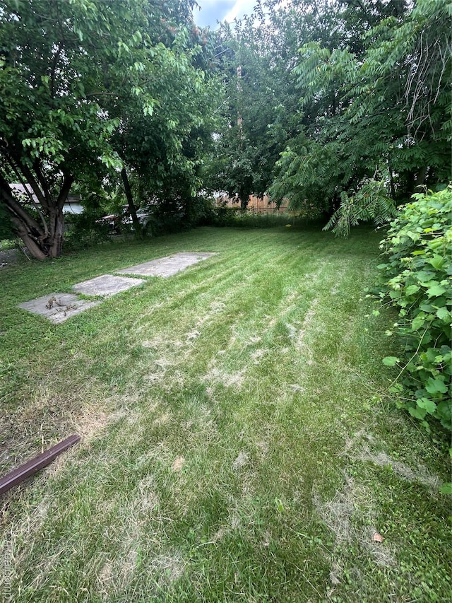 3381 S Ethel St, Detroit, MI 48217 - view of grassy yard