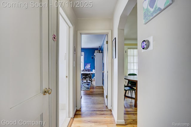 23351 Oak St, Dearborn, MI 48128 - photo 18