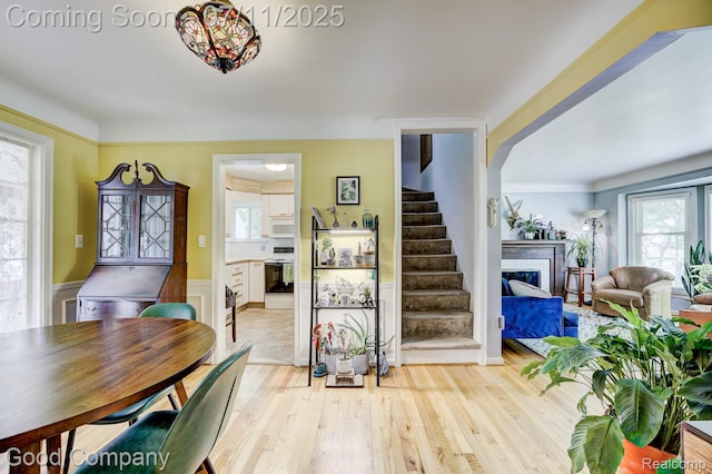 23351 Oak St, Dearborn, MI 48128 - photo 9