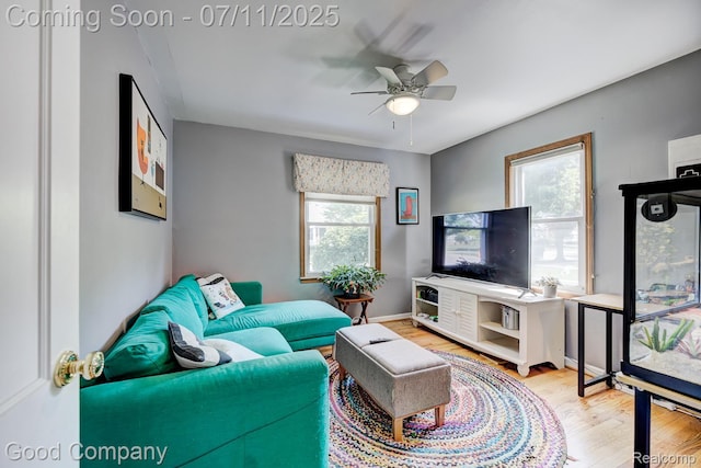 23351 Oak St, Dearborn, MI 48128 - photo 16