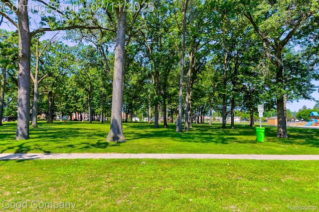 23351 Oak St, Dearborn, MI 48128 - photo 37