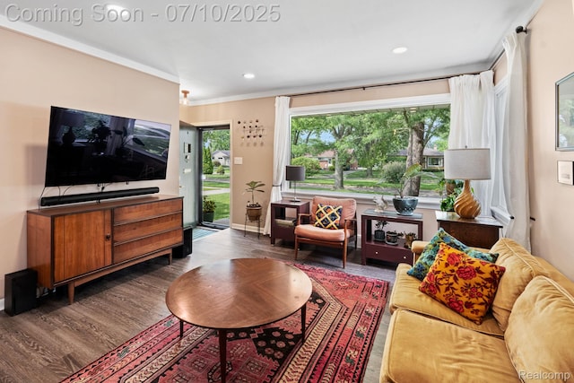 23316 Brookdale Blvd, Saint Clair Shores, MI 48082 - living room featuring wood finished floors, recessed lighting, and crown molding