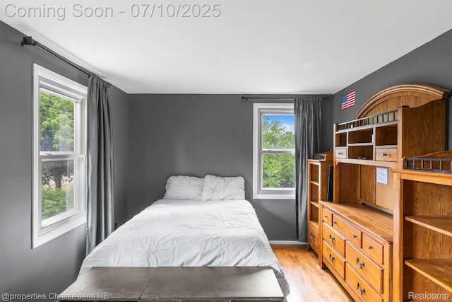 4247 Morningview Dr, Shelby Twp, MI 48316 - bedroom with multiple windows and light wood-type flooring
