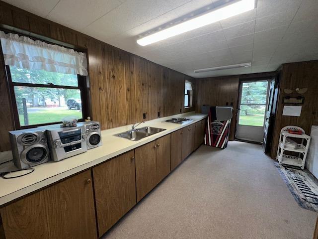 3786 W Houghton Lake Dr, Houghton Lake, MI 48629 - kitchen featuring wood walls, light countertops, and light colored carpet