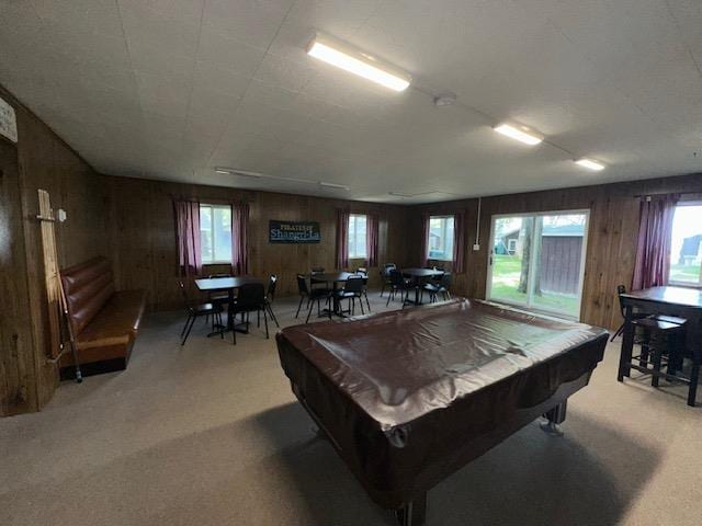 3786 W Houghton Lake Dr, Houghton Lake, MI 48629 - rec room featuring light carpet, wood walls, and billiards