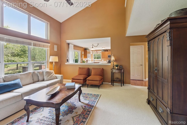50070 Venice Ct, Northville, MI 48168 - photo 20
