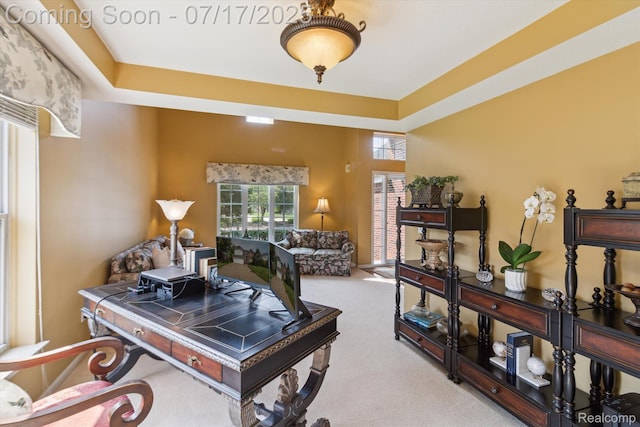50070 Venice Ct, Northville, MI 48168 - photo 9