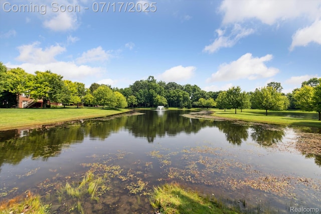 50070 Venice Ct, Northville, MI 48168 - photo 49
