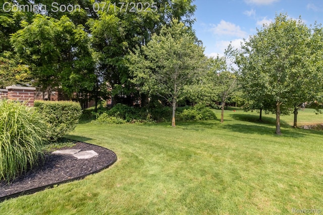 50070 Venice Ct, Northville, MI 48168 - photo 48