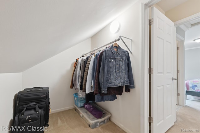 30166 Brightwood Dr Unit 40, Novi, MI 48377 - walk in closet featuring carpet