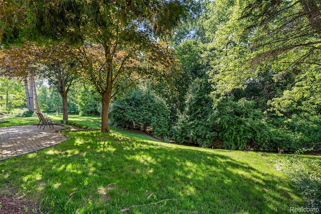 17463 Francavilla Dr, Livonia, MI 48152 - photo 18