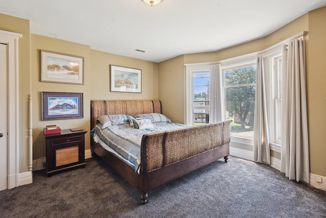 501 E Michigan Ave, Marshall, MI 49068 - bedroom with dark carpet