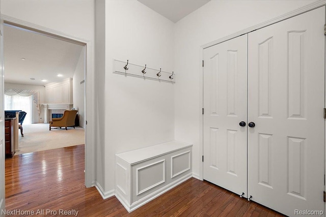 838 Knolls Landing Dr Unit 6, Milford, MI 48381 - mudroom with dark wood-style floors and a fireplace