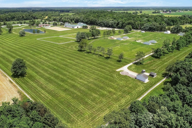 14091 Scio Church Rd, Chelsea, MI 48118 - aerial overview of property's location featuring a forest