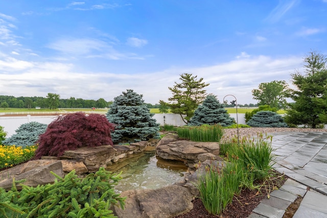 14091 Scio Church Rd, Chelsea, MI 48118 - view of yard