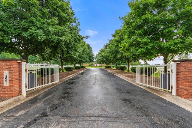 14091 Scio Church Rd, Chelsea, MI 48118 - view of asphalt driveway with a gate