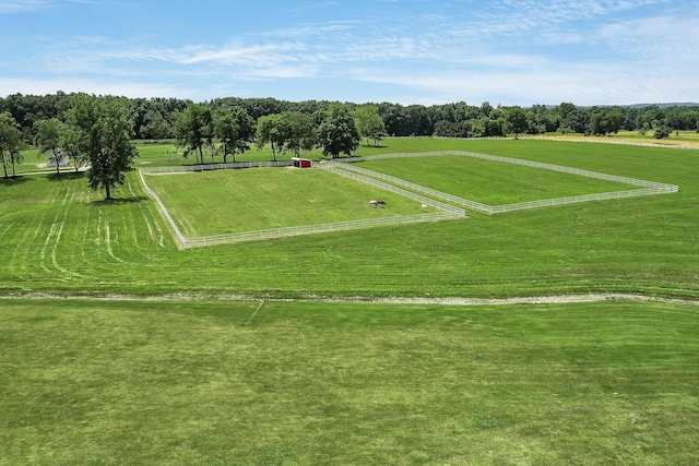 14091 Scio Church Rd, Chelsea, MI 48118 - view of rural area with a tree filled landscape