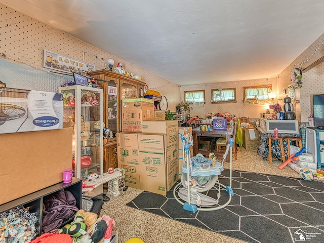 476 Borgess Ave, Monroe, MI 48162 - view of storage area