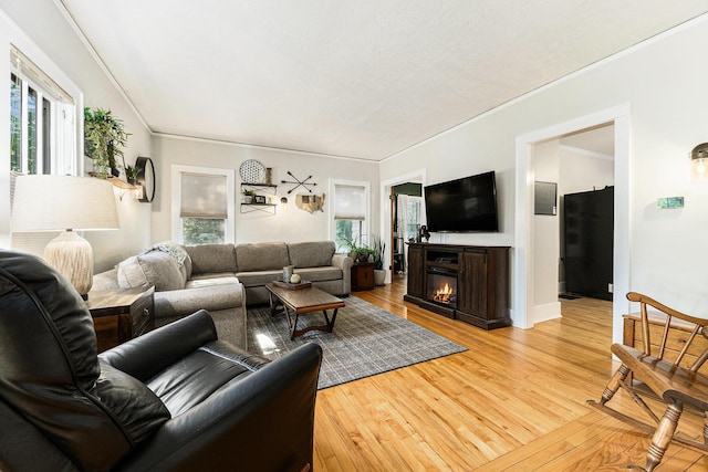 411 Edgemoor Ave, Kalamazoo, MI 49001 - living room featuring plenty of natural light, light wood finished floors, crown molding, and a glass covered fireplace