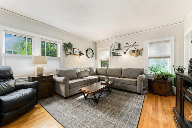 411 Edgemoor Ave, Kalamazoo, MI 49001 - living area with light wood-type flooring