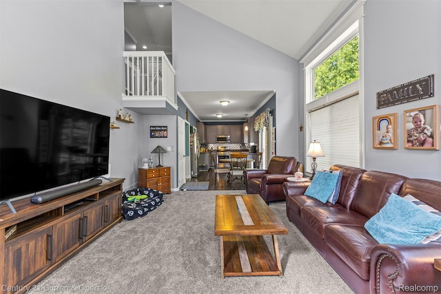 29520 Hunter St, Trenton, MI 48183 - carpeted living room featuring high vaulted ceiling