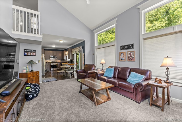 29520 Hunter St, Trenton, MI 48183 - living room featuring high vaulted ceiling and carpet floors