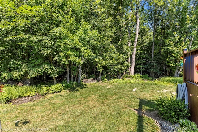 29520 Hunter St, Trenton, MI 48183 - view of grassy yard