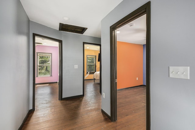 1211 S Jackson St, Jackson, MI 49203 - hallway featuring dark wood finished floors and plenty of natural light