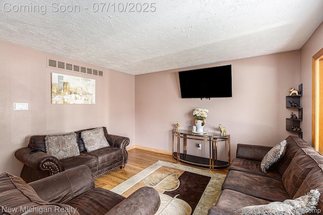 41173 Cimarron St, Clinton Township, MI 48038 - living room featuring a textured ceiling and wood finished floors