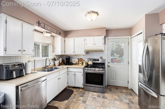 41173 Cimarron St, Clinton Township, MI 48038 - kitchen with stainless steel appliances, under cabinet range hood, plenty of natural light, and backsplash