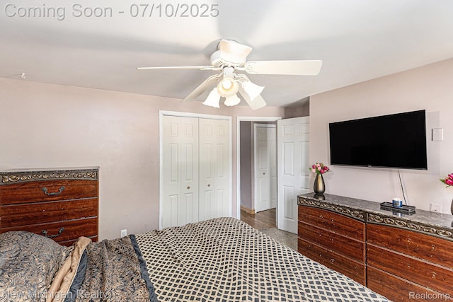 41173 Cimarron St, Clinton Township, MI 48038 - bedroom with a ceiling fan and multiple closets