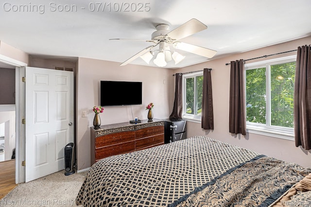 41173 Cimarron St, Clinton Township, MI 48038 - bedroom with a ceiling fan