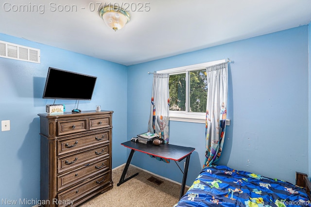 41173 Cimarron St, Clinton Township, MI 48038 - view of carpeted bedroom